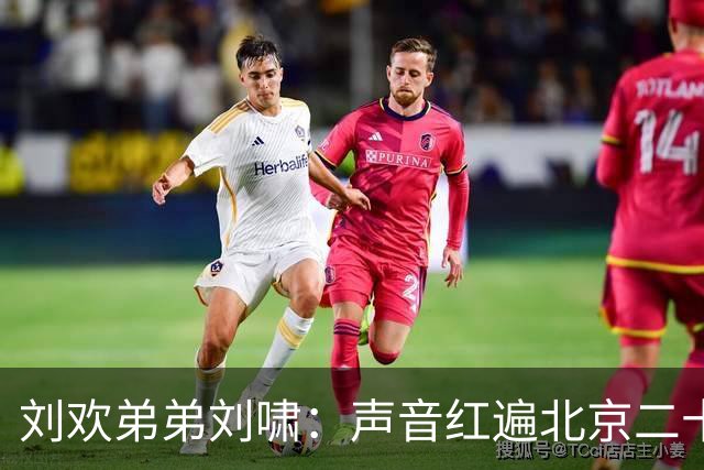 刘欢弟弟刘啸：声音红遍北京二十余年一年内痛失双亲如今又别兄长